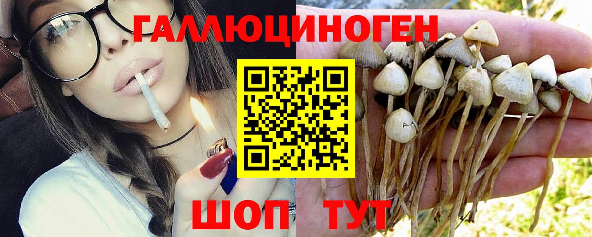 Галлюциногенные грибы мицелий  Вход с VPN  как найти   Славгород 