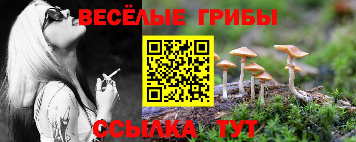 Галлюциногенные грибы GOLDEN TEACHER Славгород