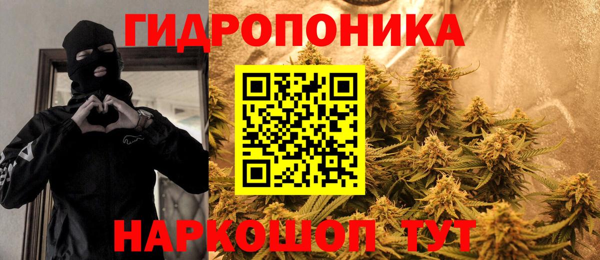 Бошки Шишки LSD WEED  Вход с VPN  Канабис SATIVA & INDICA  Славгород  Бошки Шишки тримм 